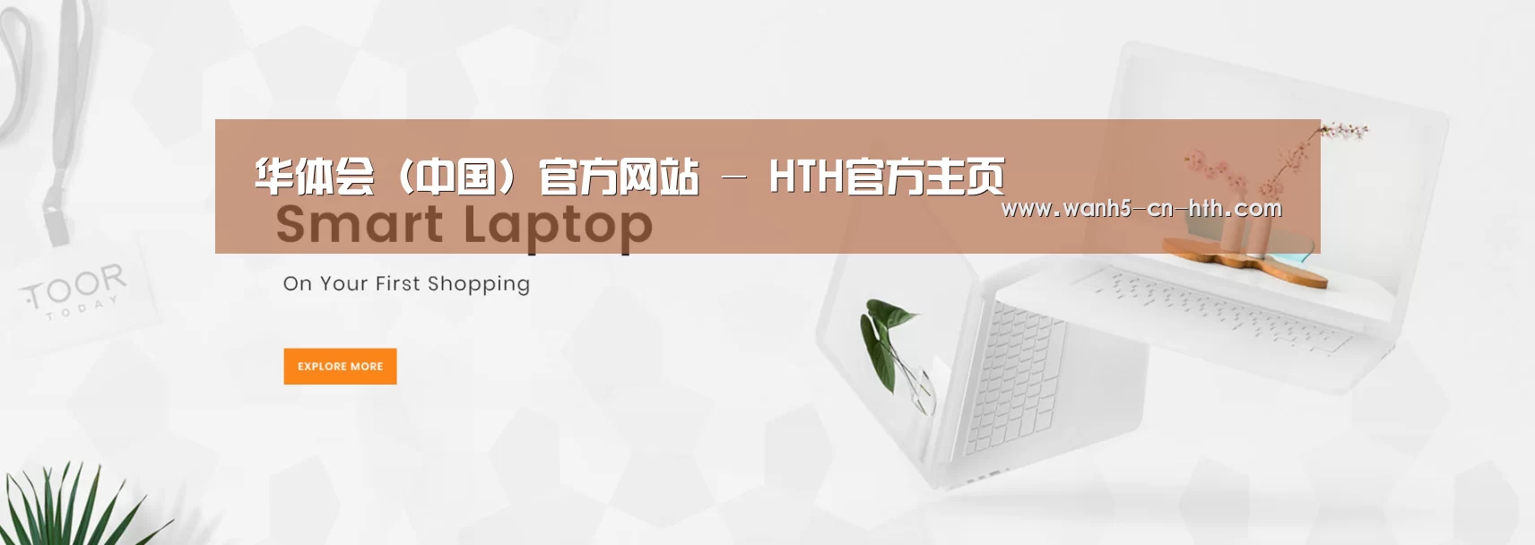 某某网络科技有限公司