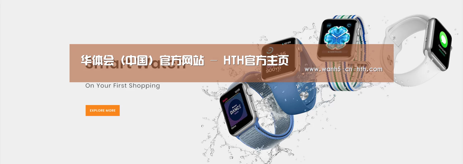 某某网络科技有限公司