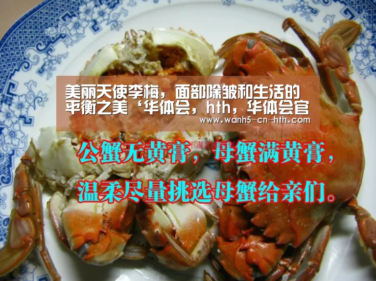 华体会，hth，华体会官网