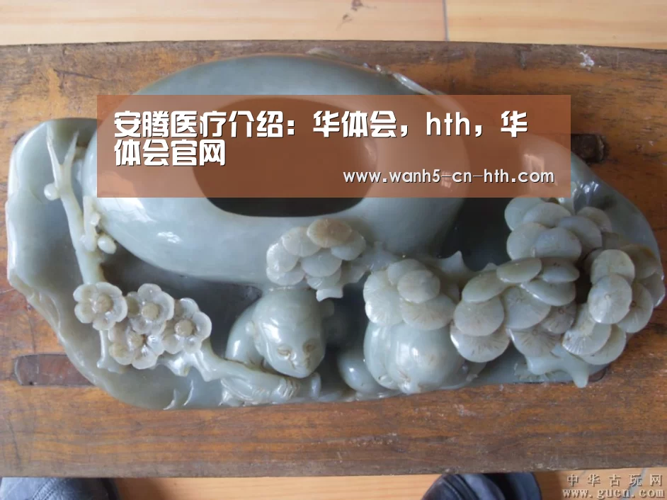 华体会，hth，华体会官网